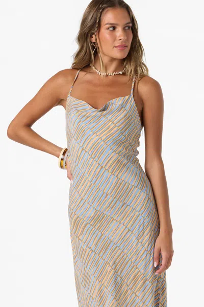 O'neill Holly Stripe Maxi Dress In Brown