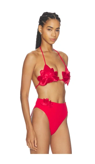Farm Rio Placed Bikini Top In Multi