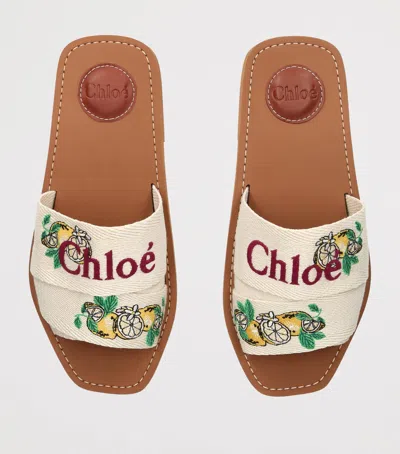 Chloé Mini Ribbons Embroidered Citrus Motif Sandals In Gray