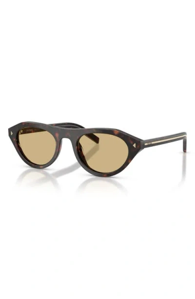 Prada 51mm Irregular Sunglasses In Brown