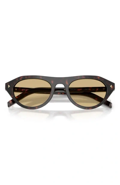 Prada 51mm Irregular Sunglasses In Brown