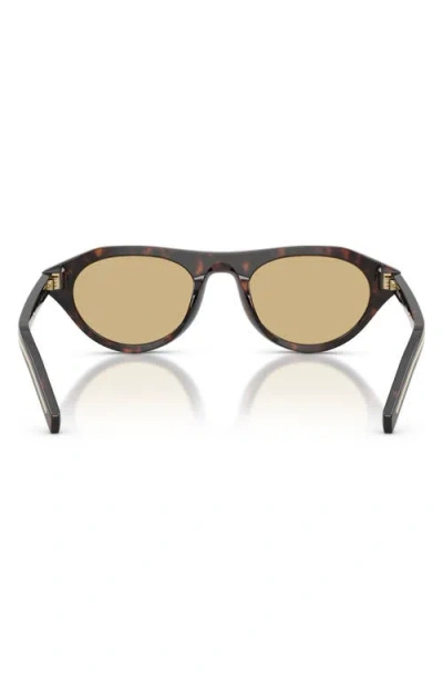 Prada 51mm Irregular Sunglasses In Brown