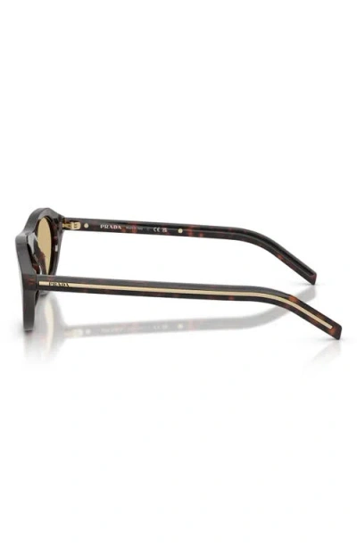 Prada 51mm Irregular Sunglasses In Brown