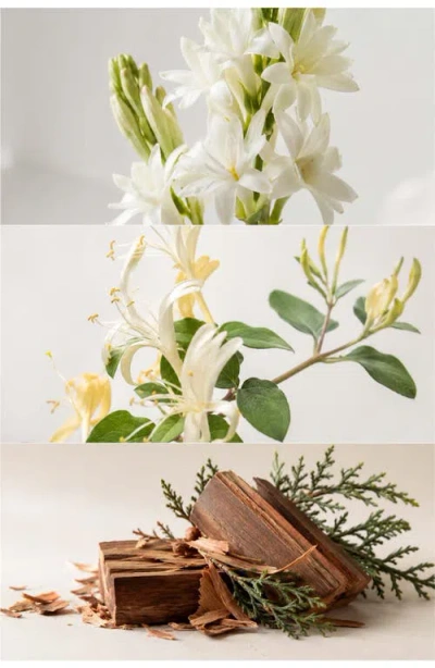 Skybottle The Lime Tree Perfumed Hand Cream