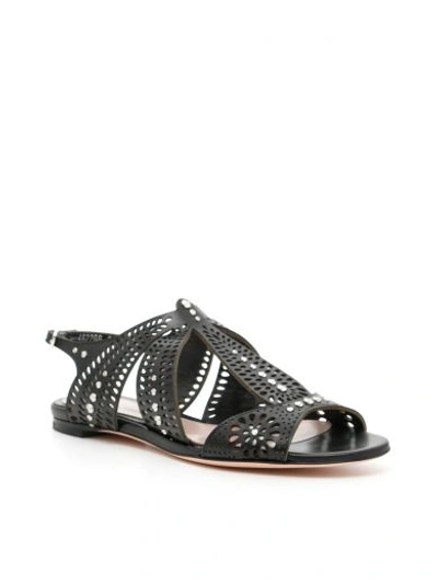 Shop Alexander Mcqueen Perforated Leather Sandals In Black Cream|nero