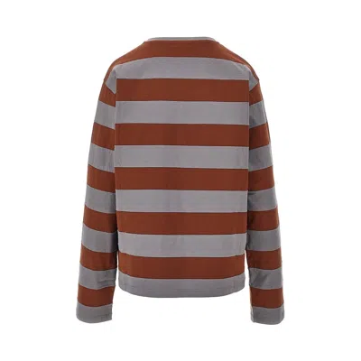 Miu Miu Cotton T-shirt With Striped Pattern In Brown