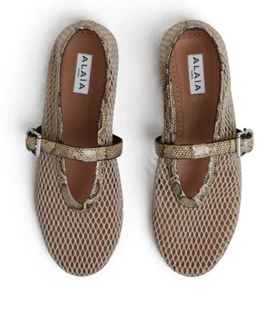 Alaïa Mesh Python Print-trim Ballet Flats In Brown