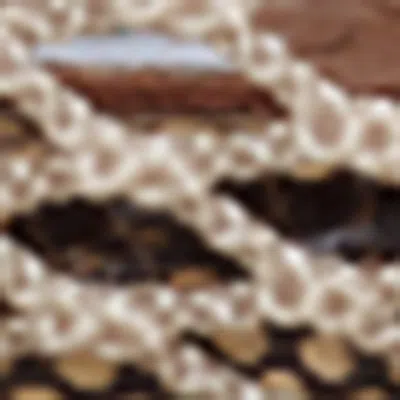 Alaïa Mesh Python Print-trim Ballet Flats In Brown