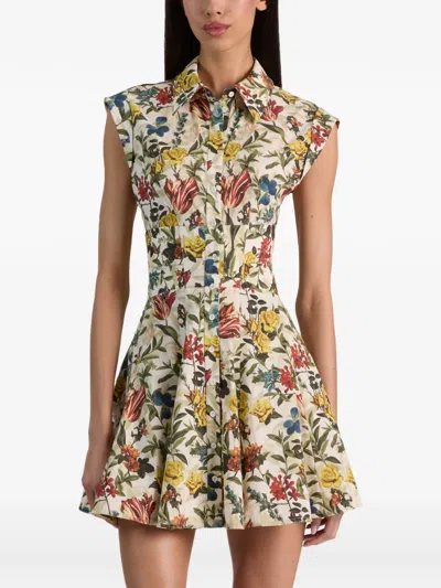 Alice And Olivia Kim Paneled Corset Flared Mini Shirt Dress Desert Springs Vanilla In Brown