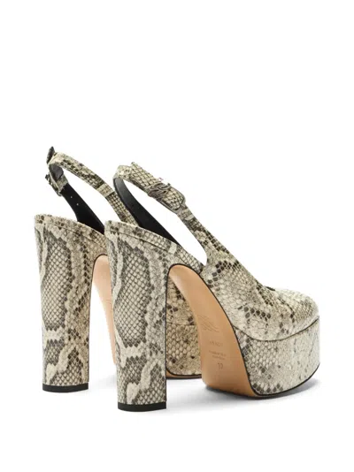 Casadei Patty Python-print Platform Pumps In Neutral