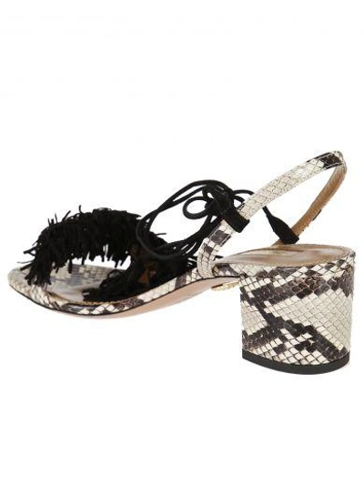 Shop Aquazzura Snakeskin Wild Thing Sandals In Shiny
