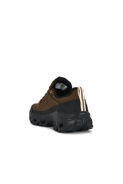 On Cloudrock Low Wp In Brown