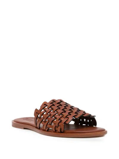 Dragon Diffusion Zig Zag Sandals In Brown