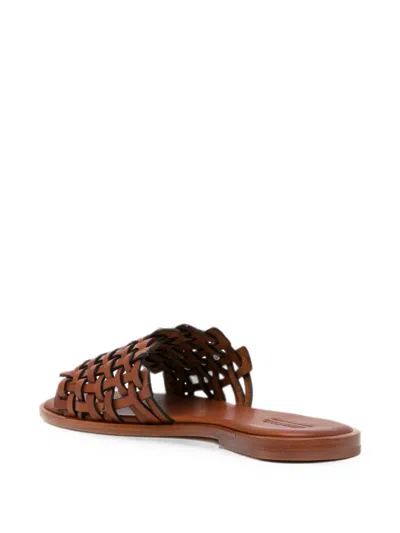 Dragon Diffusion Zig Zag Sandals In Brown