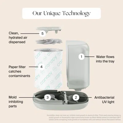 Canopy Humidifier Filter