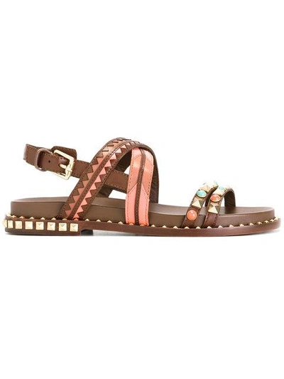 Ash Massai Sandals Cacao Brown Leather In Multicolor