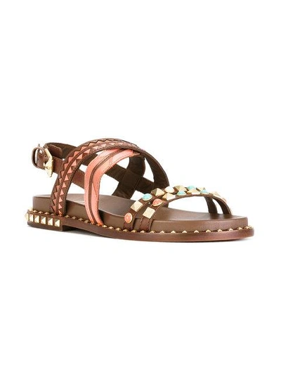 Shop Ash Massai Sandals In Brown