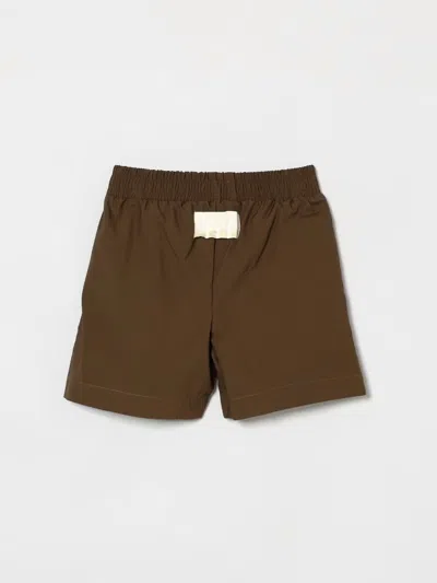 Msgm Elasticated-waist Shorts In Brown