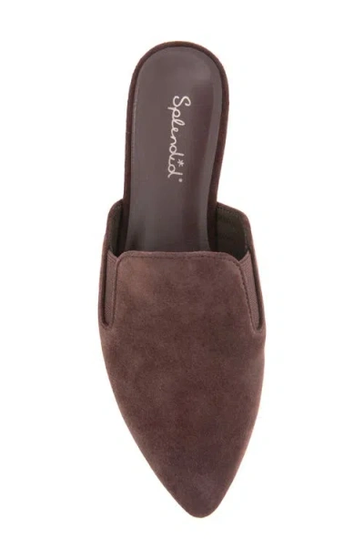 Splendid Liza Pointed Toe Mule In Multi