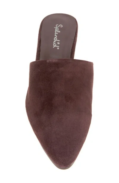 Splendid Lorelei Mule In Multi