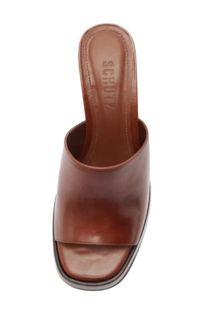 Schutz Rowan Platform Sandal In Brown