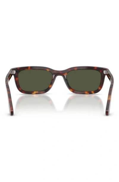 Persol 53mm Rectangular Sunglasses In Brown
