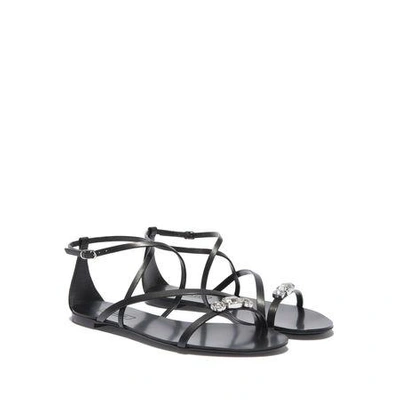 Shop Casadei Soraya In Black