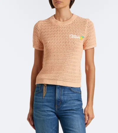 Chloé Chloe Logo-intarsia Open-knit Cotton T-shirt In Orange