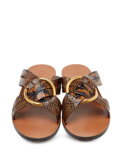 Pre-owned Chloé Lauren Python-embossed Flat Sandals In Brown