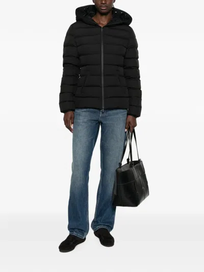 Moncler Herbes Hooded Padded Jacket In Black