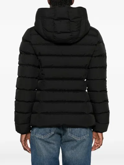 Moncler Herbes Hooded Padded Jacket In Black