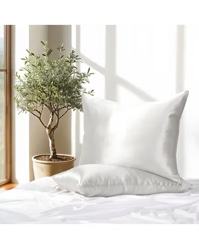Home Collection Silk Pillowcase 2 Pack In Gray