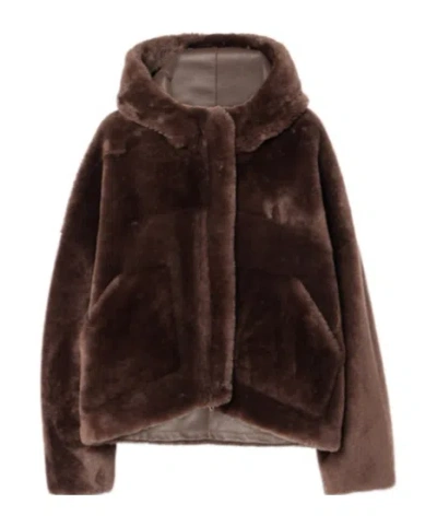 Blancha Cropped Shearling Jacket In Brown