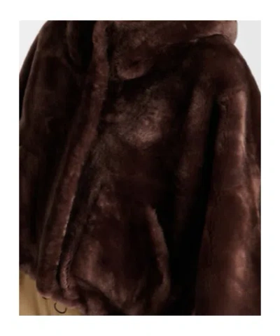 Blancha Cropped Shearling Jacket In Brown