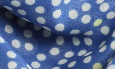 Bcbgeneration Polka Dot Scarf In Blue