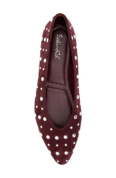 Splendid Latouche Stud Flat In Brown