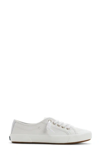 Sperry Pier Wave Low Top Sneaker In White