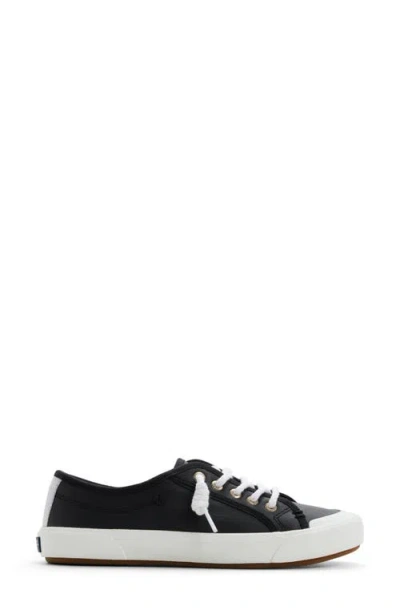 Sperry Pier Wave Low Top Sneaker In Black