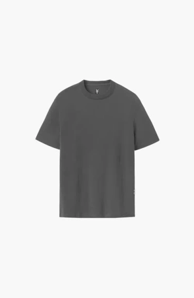 Asrv Supima Oversized Tee In Gray