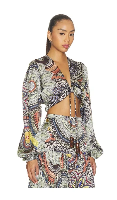 Alexis Colmar Top In Multi