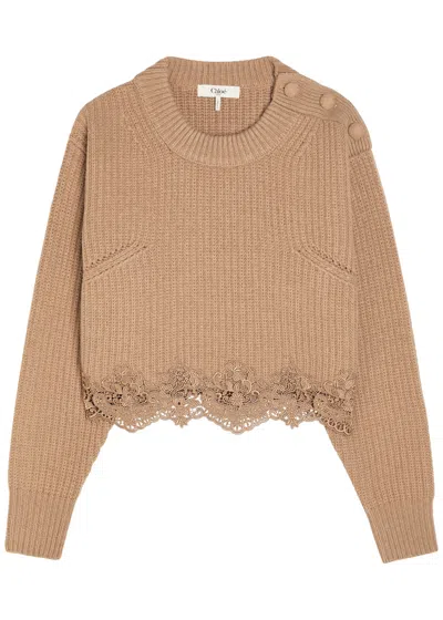 Chloé Pullover Corto Con Collo A Lupetto In Maglia Di Lana E Cashmere Con Pizzo In Brown