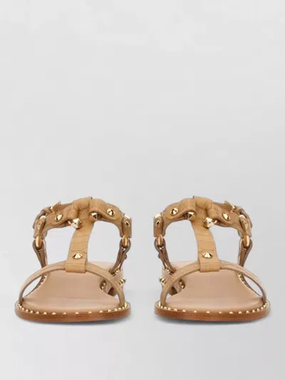 Ash Patsy Bis Croc Printed Embellished Flat Sandal In Brown