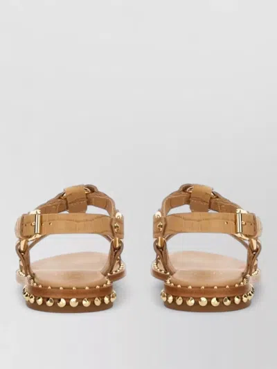 Ash Patsy Bis Croc Printed Embellished Flat Sandal In Brown