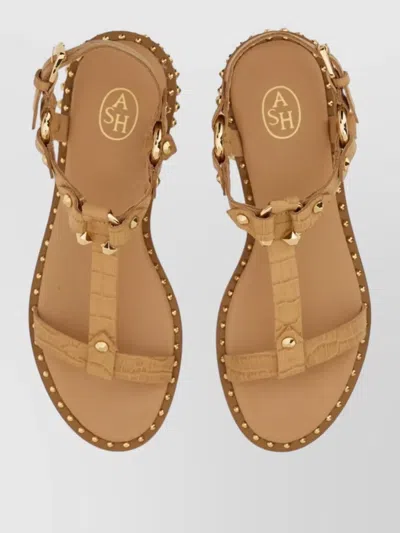 Ash Patsy Bis Croc Printed Embellished Flat Sandal In Brown