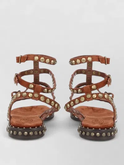 Ash Play Flat Sandals Ankle Strap Studs In Brown
