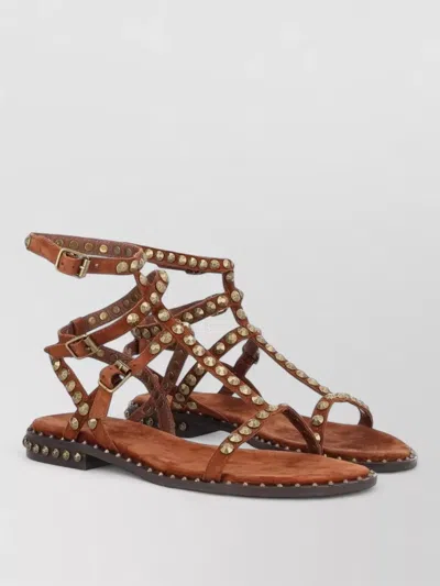 Ash Play Flat Sandals Ankle Strap Studs In Brown
