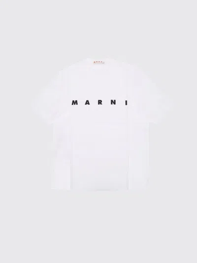Marni Kids Logo-printed Crewneck T-shirt In White