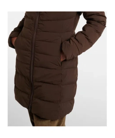 Canada Goose Clair Down Coat In Brown