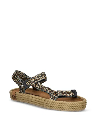Bohonomad Leopard-print Touch-strap Espadrilles In Brown