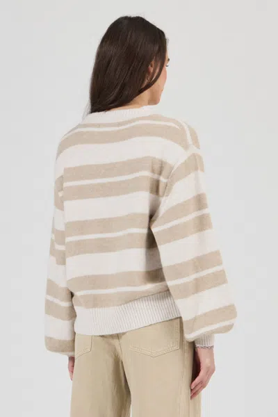Rolla's Jeans Us Sofia Sweater In Multi